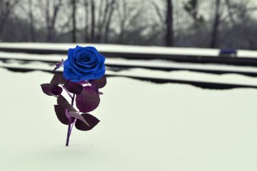 おかもとまりは頭おかしいのか？精神科の入院や宗教の真相について