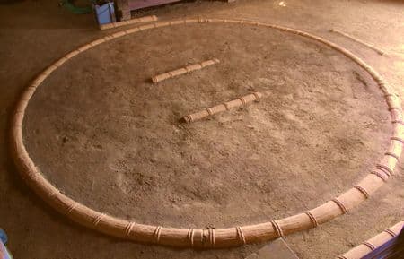 琴桜(琴櫻)の死因は敗血症による多臓器不全。猛牛の生涯について