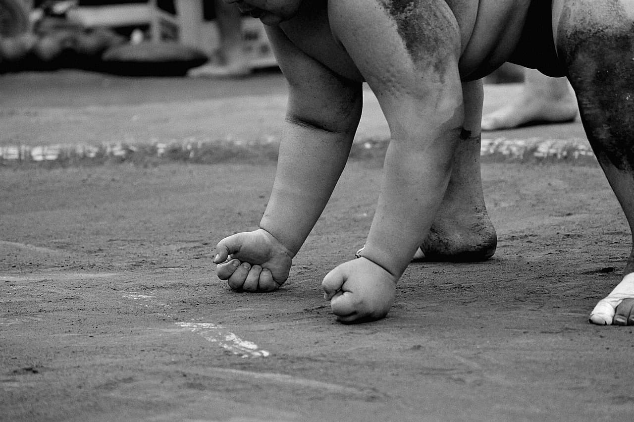 琴桜(琴櫻)の死因と突然の訃報